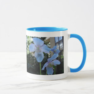 Blaue Mohnblumen-Wecker-Tasse Tasse