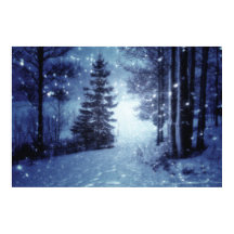 Blaue Moonlit Magische Wälder Winterlandschaft