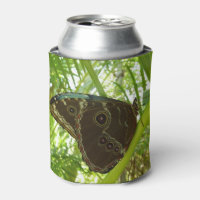 Blaue Morpho Butterfly Naturfotografie