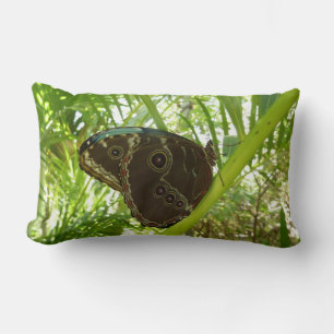 Blaue Morpho Butterfly Naturfotografie Lendenkissen