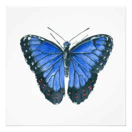 Blaue Morpho-Schmetterling-Aquarellmalerei Fotodruck