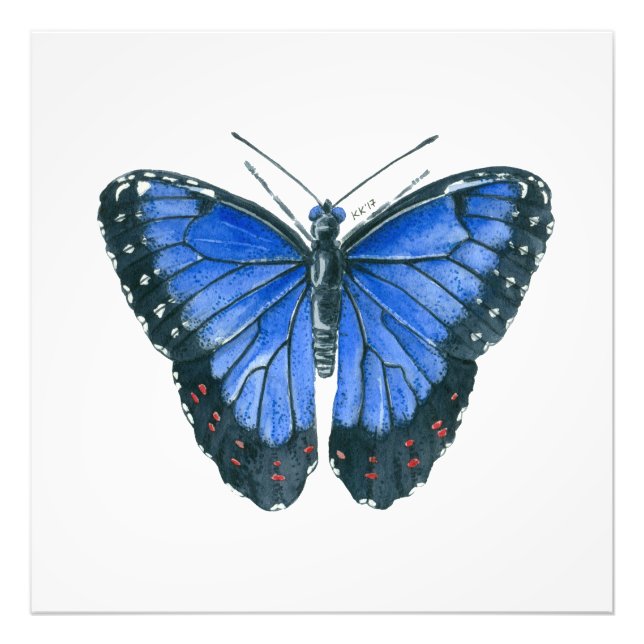 Blaue Morpho-Schmetterling-Aquarellmalerei Fotodruck (Vorne)