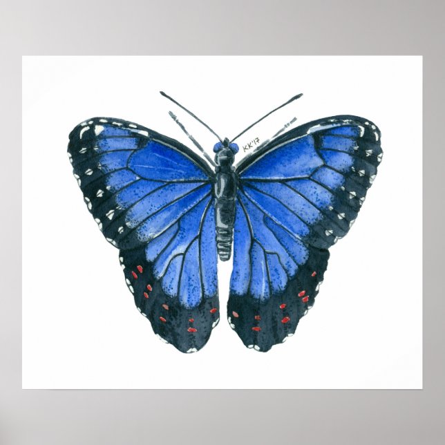 Blaue Morpho-Schmetterling-Aquarellmalerei Poster (Vorne)