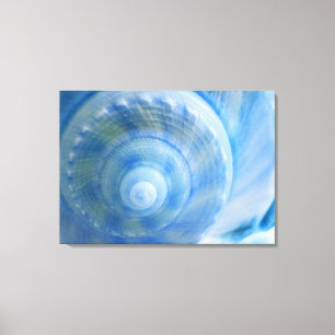 Blaue Muschel-abstrakter Leinwanddruck