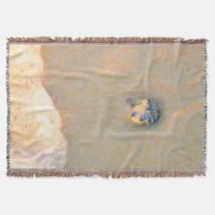 Blaue Muschel im Pfad einer Welle Decke