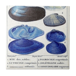 Blaue Muscheln Vintage botanische französische Mee Fliese