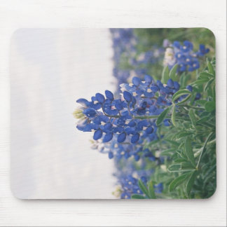 Blaue Mütze Mousepad