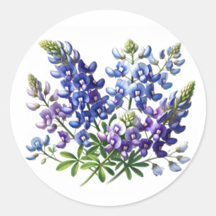 Blaue Mützen Texas State Blumen Lupine Aquarell Runder Aufkleber