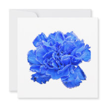 Blaue Nelke Serenity – Lebendige Florale Notizkart