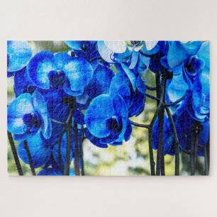 Blaue Orchideen