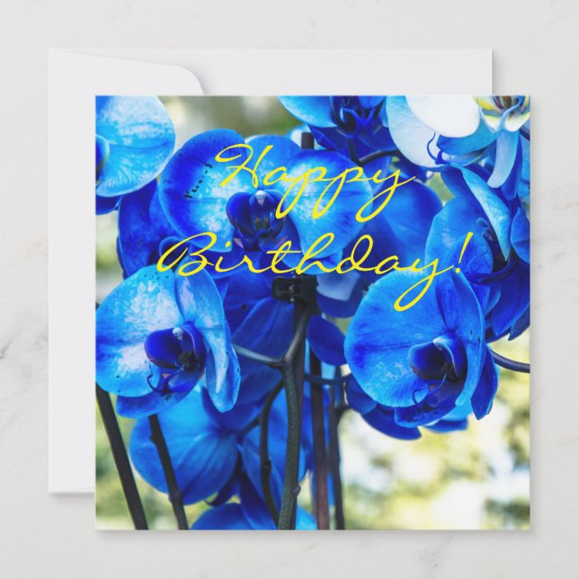 Blaue Orchideen (Vorderseite)
