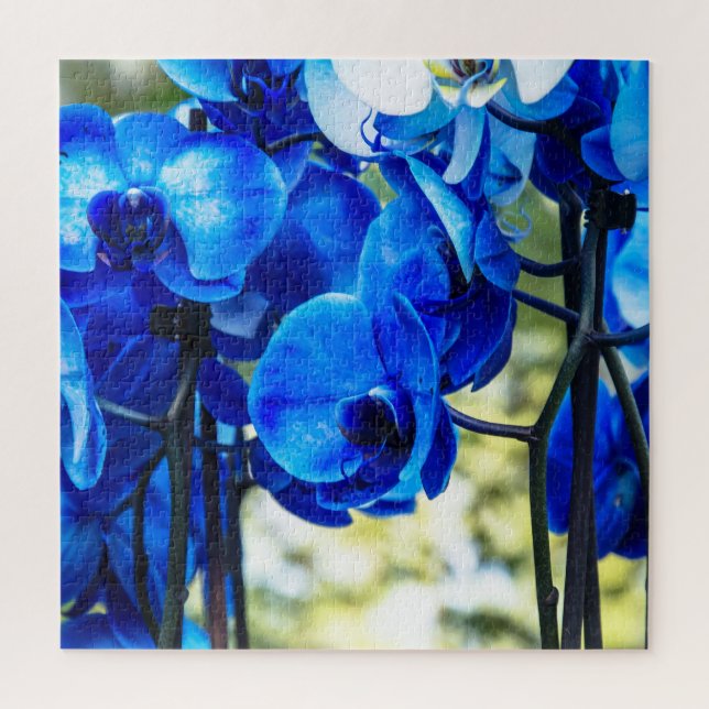 Blaue Orchideen (Vertikal)