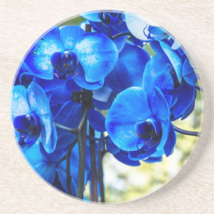 Blaue Orchideen Getränkeuntersetzer