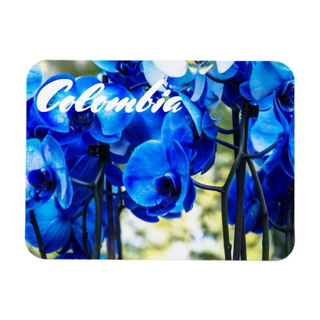 Blaue Orchideen Magnet (Horizontal)