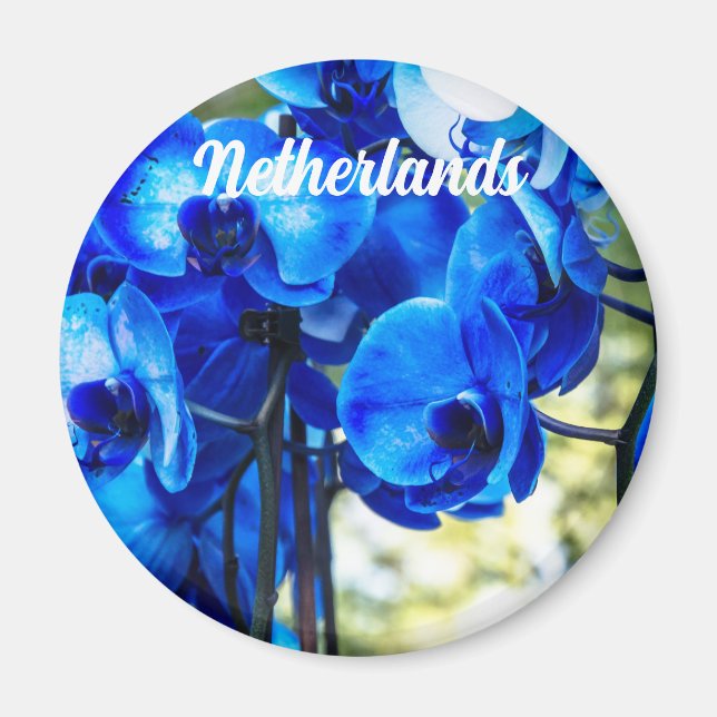 Blaue Orchideen Magnet (Vorne)