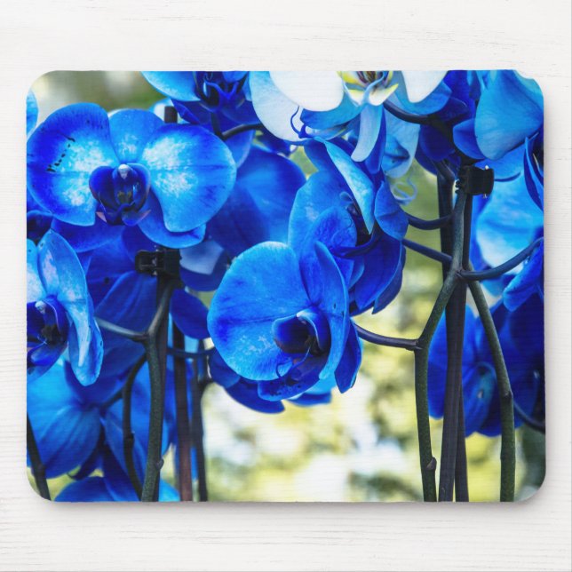 Blaue Orchideen Mousepad (Vorne)