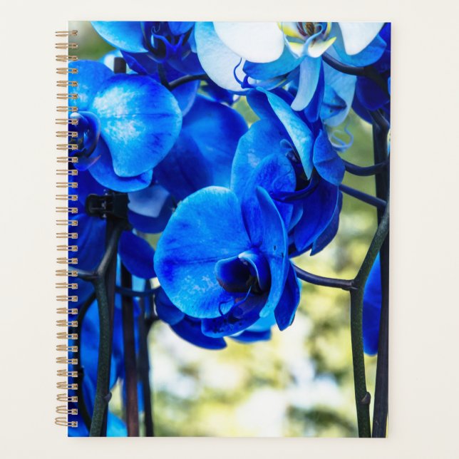 Blaue Orchideen Planer (Vorderseite)