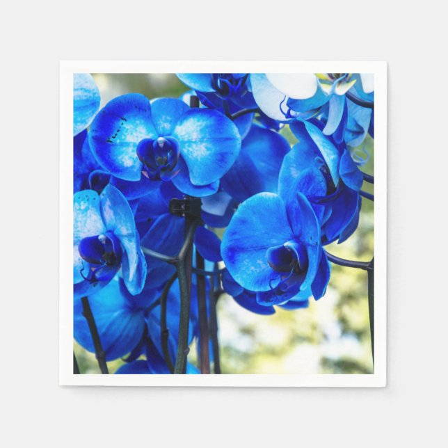 Blaue Orchideen Serviette (Vorderseite)