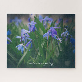 Blaue Oszillatoren-Blume im Frühjahrsgarten