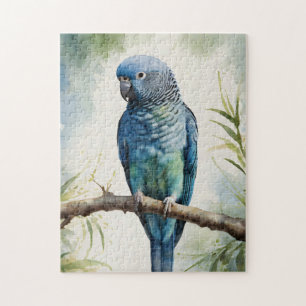 Blaue Parakeet Eukalyptus Tree