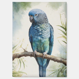 Blaue Parakeet Eukalyptus Tree Magnet