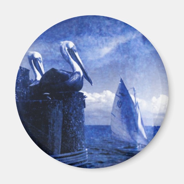 Blaue Pelikane Magnet (Vorne)