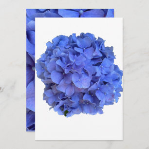 Blaue Perwinkle, elegante Blumenhydrangeas Einladung
