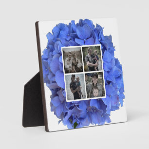 Blaue Perwinkle, elegante Blumenhydrangeas Fotoplatte