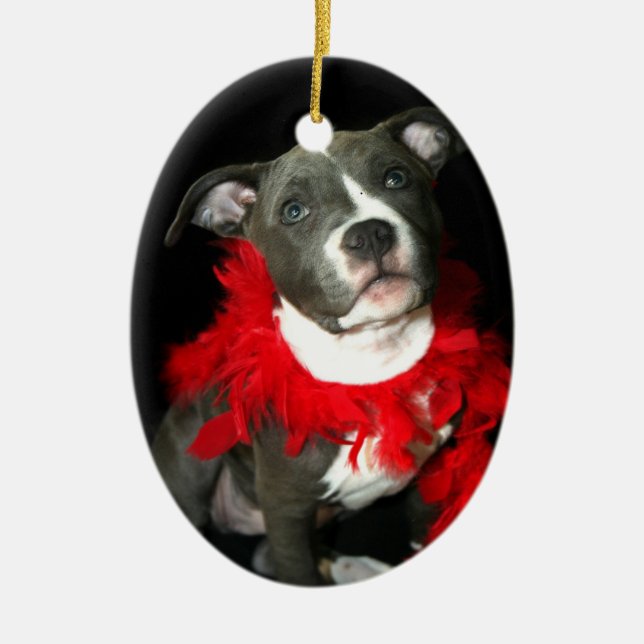 Blaue pitbull Welpenverzierung Keramik Ornament (Vorne)