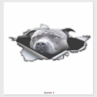 Blaue Pitbulle, Dekoration des Autos, Autoaufklebe Aufkleber