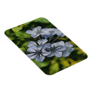 Blaue Plumbago-Blossom-Malerei Magnet