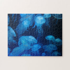 Blaue Qualle