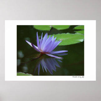 Blaue Reflektionen Poster