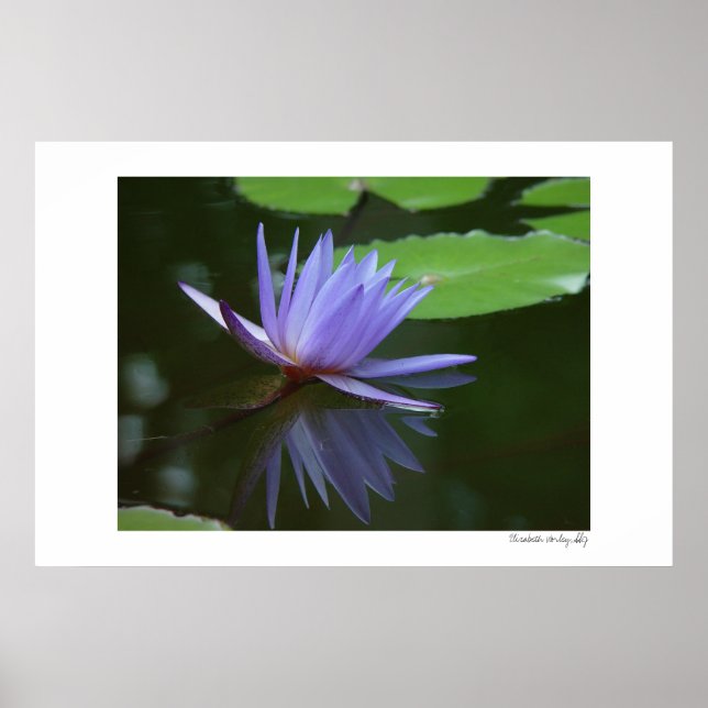 Blaue Reflektionen Poster (Vorne)