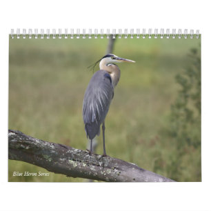 Blaue Reiher-Reihe Kalender
