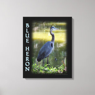 Blaue Reiher-Wand-Kunst-Fotografie Leinwanddruck