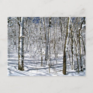 Blaue Ridge-Magie unter einem Winterzauber Postkarte