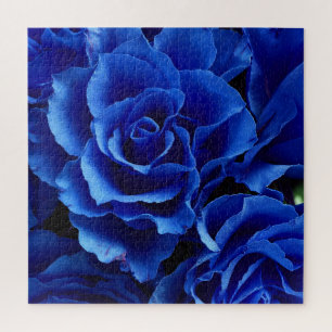 Blaue Rose Blume Pflanze Romantik