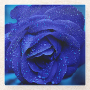 Blaue Rose Glasuntersetzer