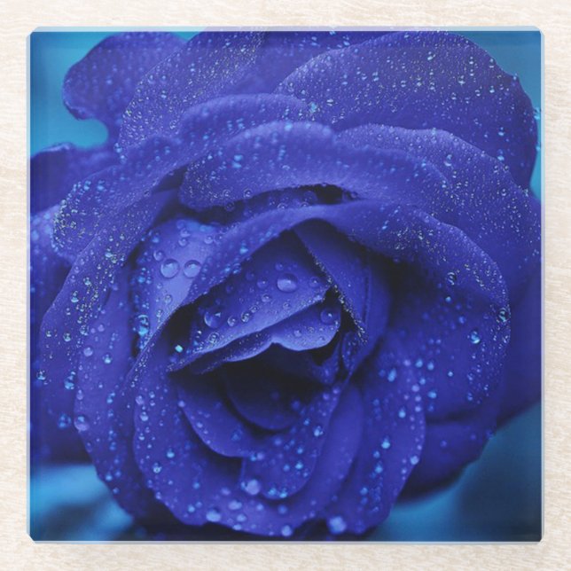 Blaue Rose Glasuntersetzer (Vorderseite)