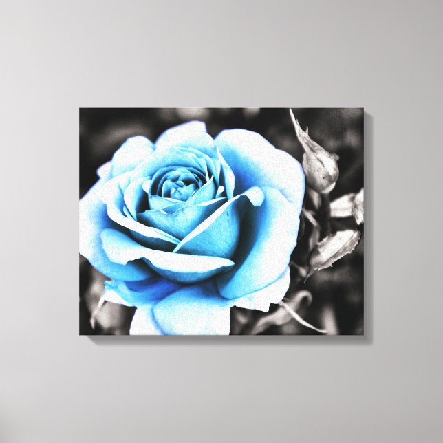 blaue Rose Leinwanddruck (Vorderseite)
