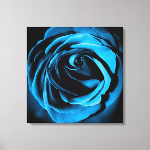 Blaue Rose Leinwanddruck