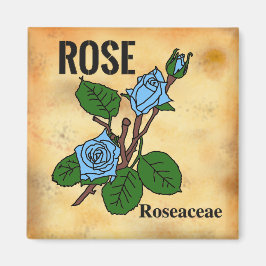 Blaue Rose Linienkunst im Stil von gealtertem Papi Magnet