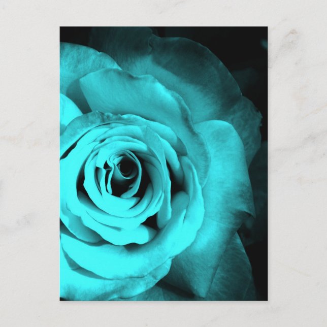 Blaue Rose Postkarte (Vorderseite)
