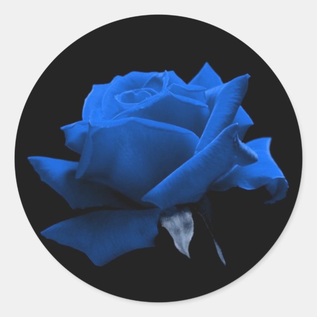 Blaue Rose Runder Aufkleber (Vorderseite)