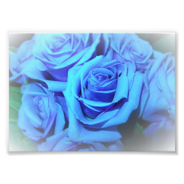 Blaue Rosen Foto-Druck Fotodruck (Vorne)