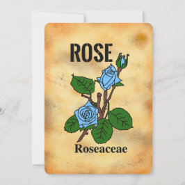 Blaue Rosenzeichnung im Stil von gealtertem Papier