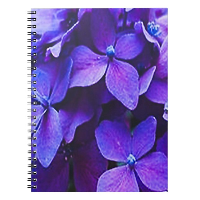                     Blaue rote Hortensie      Notizblock (Vorderseite)