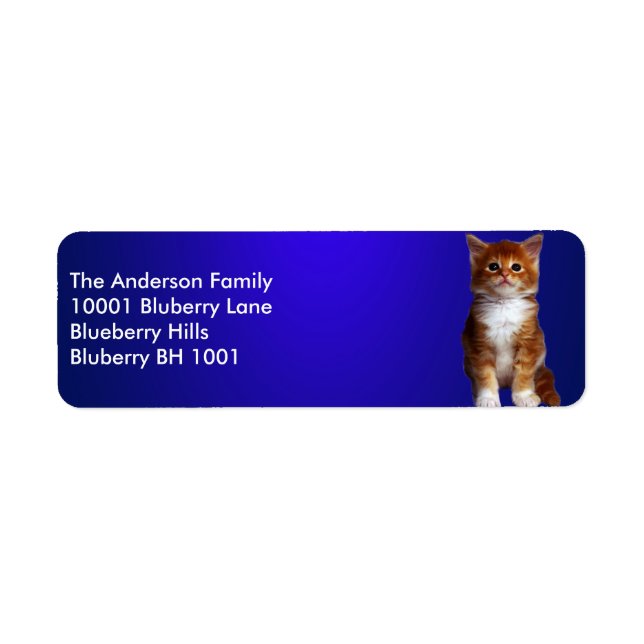 Blaue Rücksendeadresse Ginger Cat (Vorne)