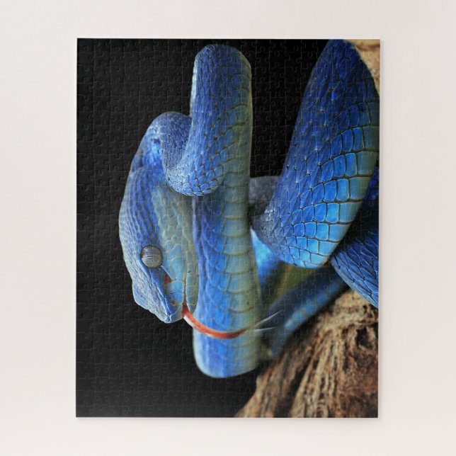 Blaue Schlange (Vertikal)